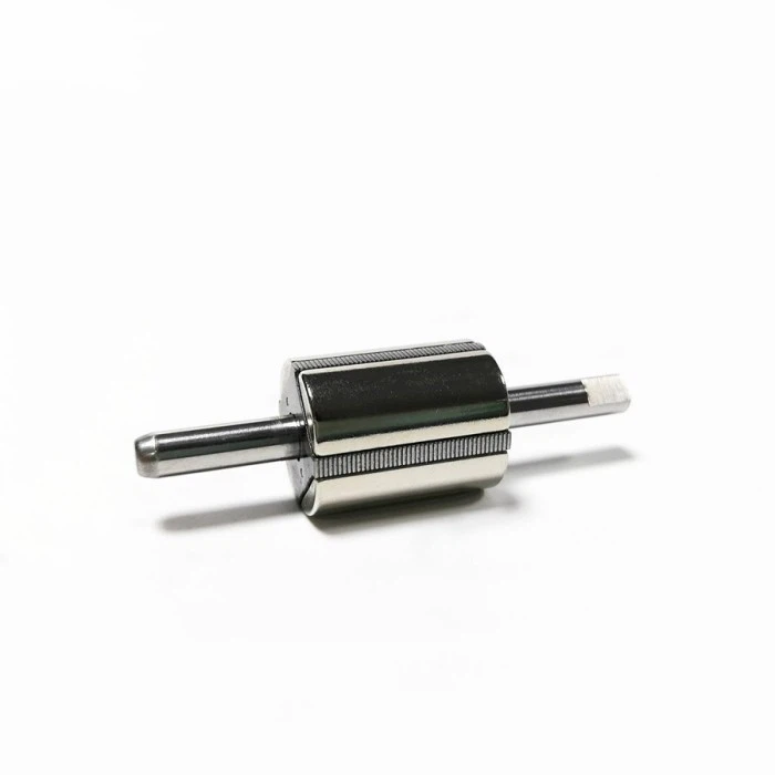 NdFeB Magnetic Rotor-036